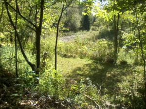 September Breakfast View