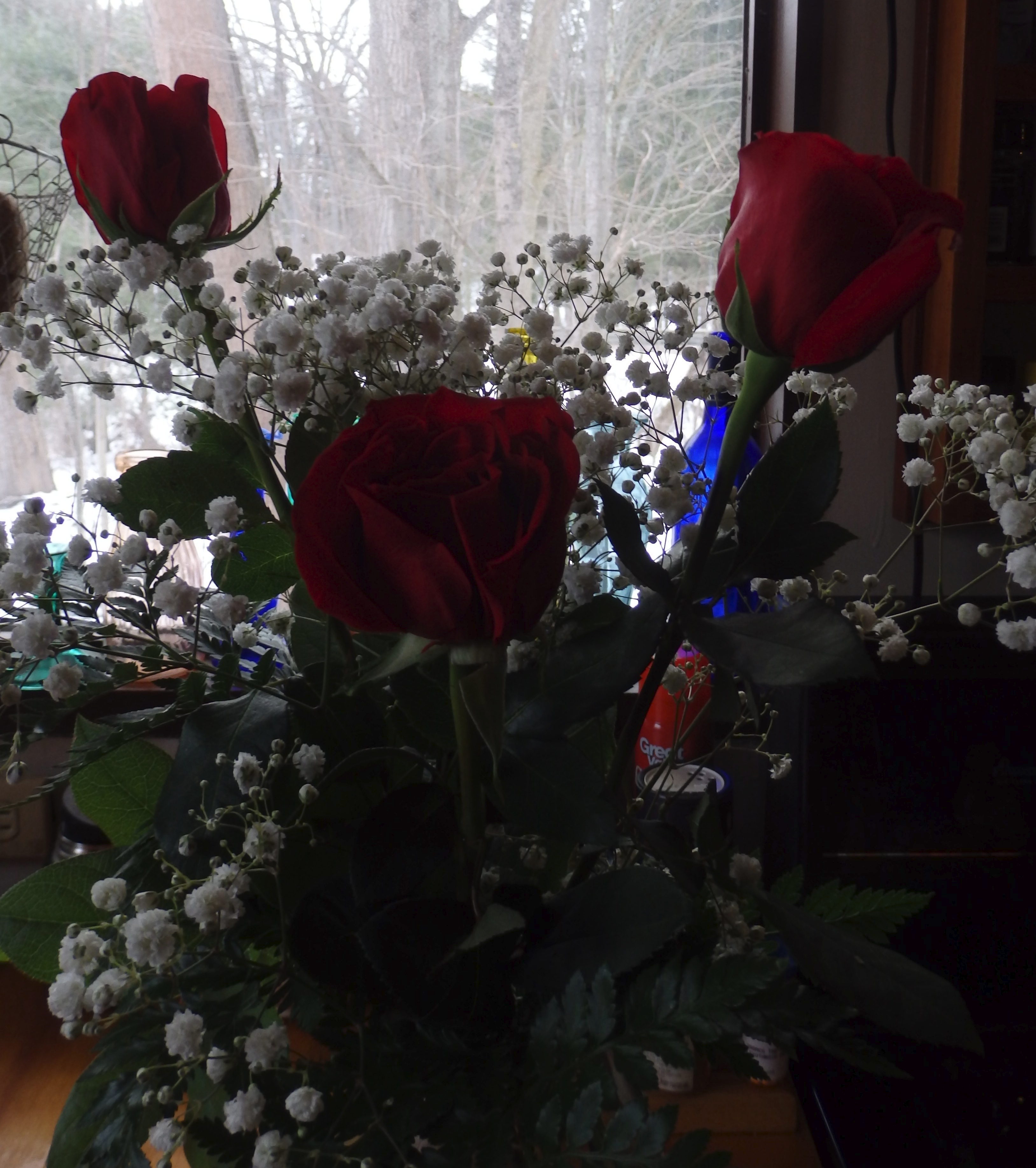 OLYMPUS DIGITAL CAMERA