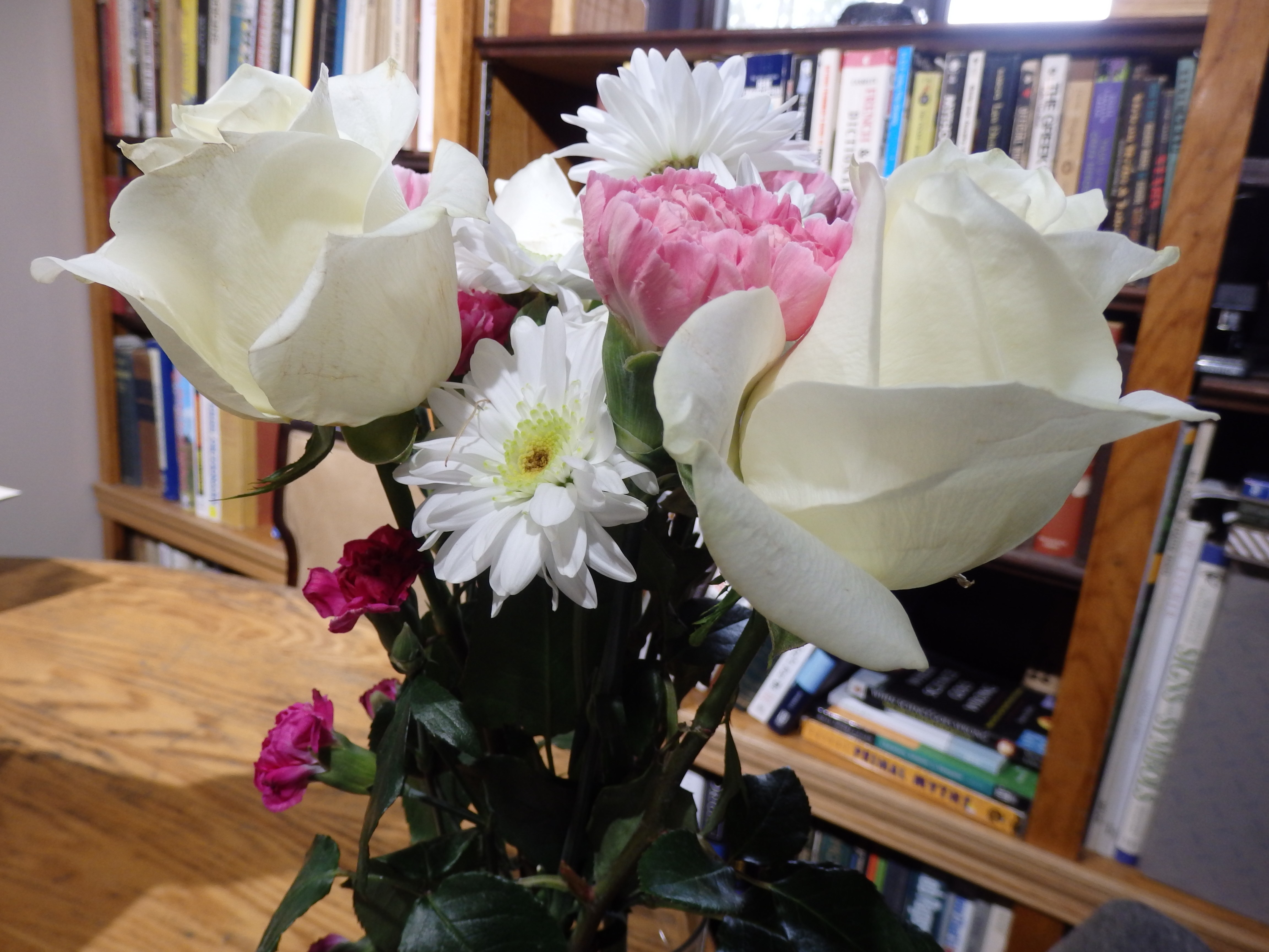 OLYMPUS DIGITAL CAMERA